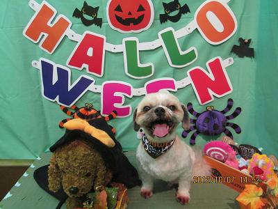 ファイル 5066-2.jpg