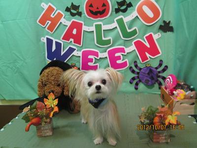 ファイル 5067-2.jpg