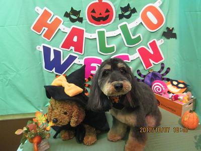 ファイル 5068-2.jpg