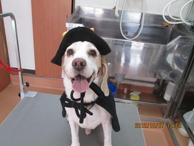 ファイル 5069-1.jpg