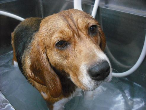 ファイル 507-2.jpg