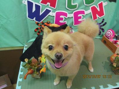 ファイル 5070-2.jpg