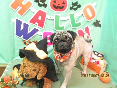 ファイル 5075-2.jpg