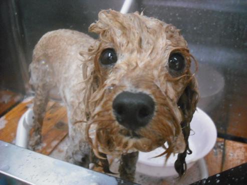 ファイル 508-2.jpg