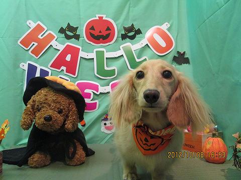 ファイル 5080-2.jpg