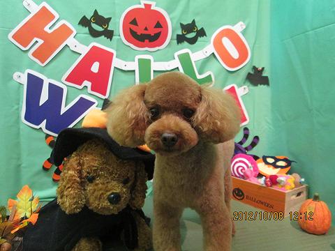 ファイル 5082-2.jpg