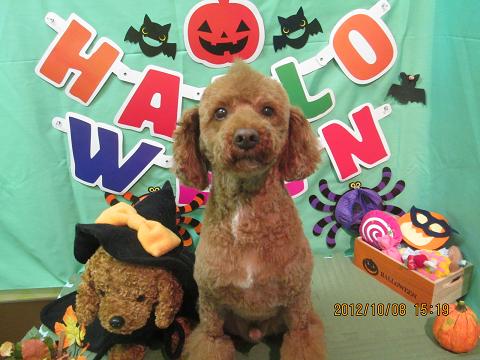 ファイル 5083-2.jpg