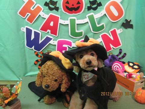 ファイル 5084-2.jpg