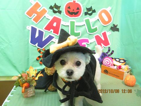 ファイル 5085-2.jpg