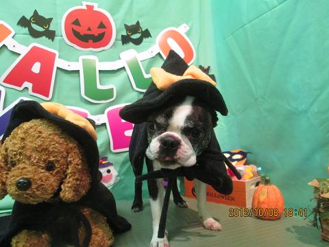 ファイル 5089-2.jpg