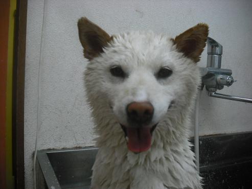 ファイル 509-2.jpg