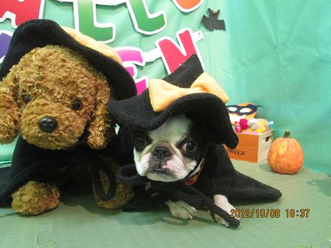 ファイル 5090-1.jpg