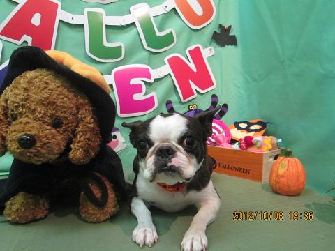 ファイル 5090-2.jpg