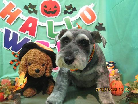 ファイル 5091-2.jpg