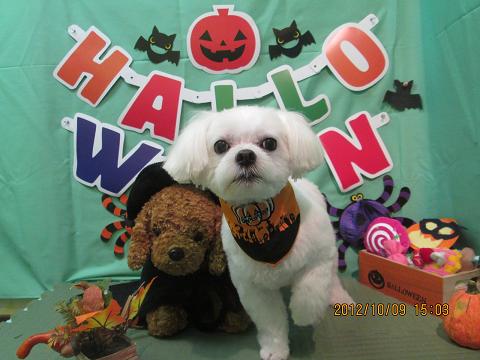 ファイル 5092-2.jpg