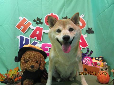 ファイル 5093-2.jpg