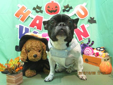 ファイル 5094-2.jpg