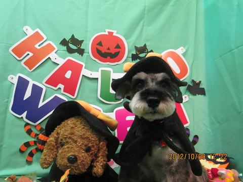 ファイル 5095-2.jpg