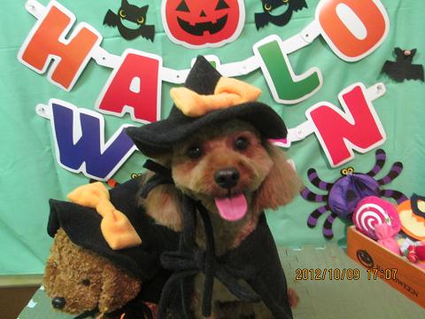 ファイル 5098-2.jpg