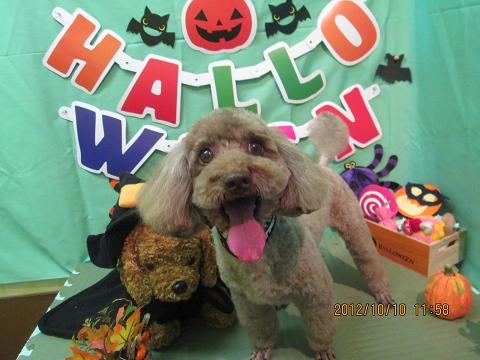 ファイル 5099-2.jpg