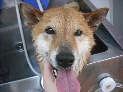 ファイル 51-2.jpg