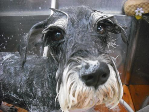 ファイル 510-2.jpg