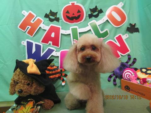 ファイル 5100-2.jpg