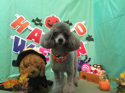 ファイル 5103-2.jpg