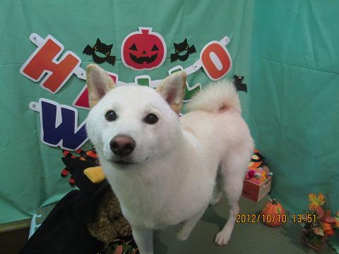 ファイル 5104-2.jpg