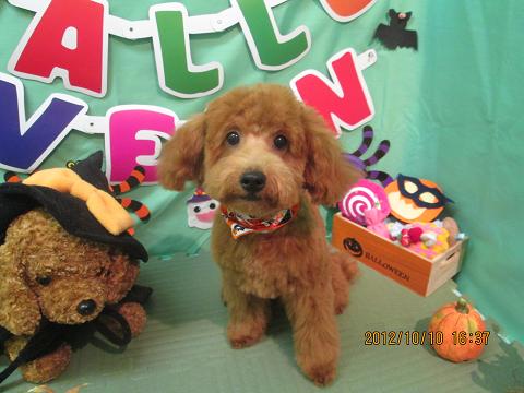 ファイル 5105-2.jpg