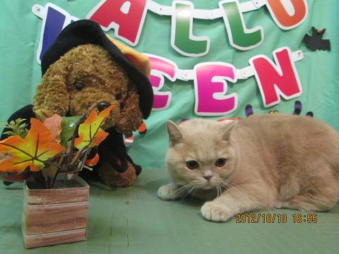 ファイル 5106-2.jpg