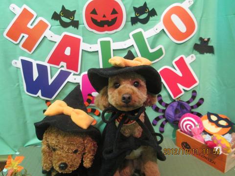 ファイル 5107-1.jpg