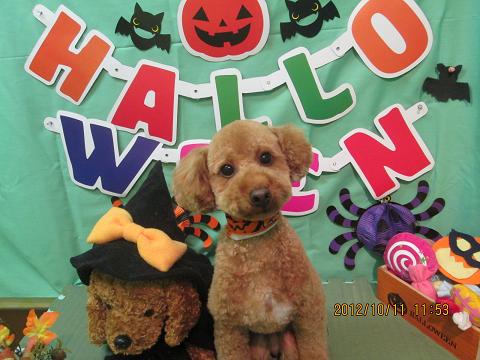 ファイル 5107-2.jpg