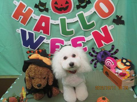 ファイル 5109-2.jpg