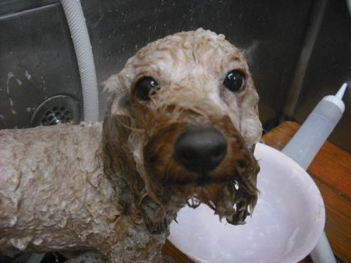 ファイル 511-2.jpg