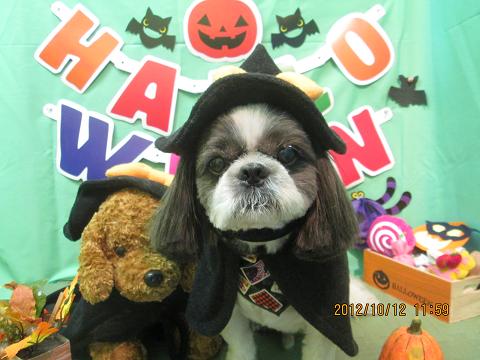 ファイル 5119-1.jpg