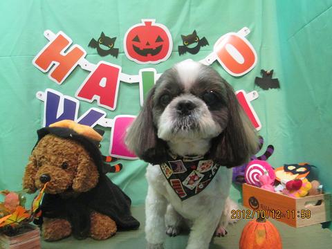 ファイル 5119-2.jpg