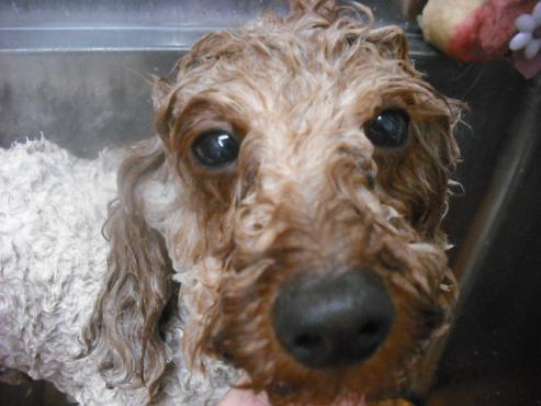 ファイル 512-2.jpg