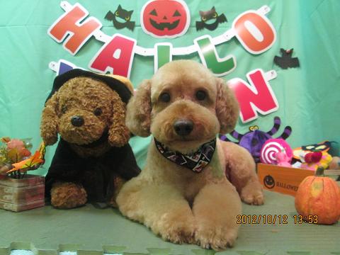 ファイル 5120-2.jpg