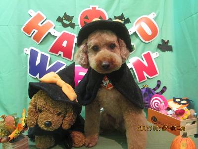 ファイル 5122-1.jpg