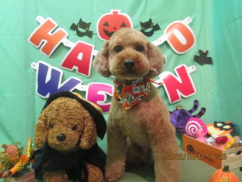 ファイル 5122-2.jpg