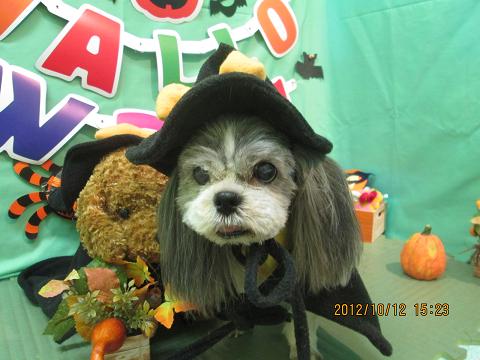 ファイル 5125-1.jpg