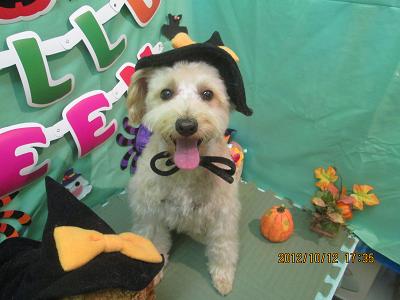 ファイル 5127-1.jpg