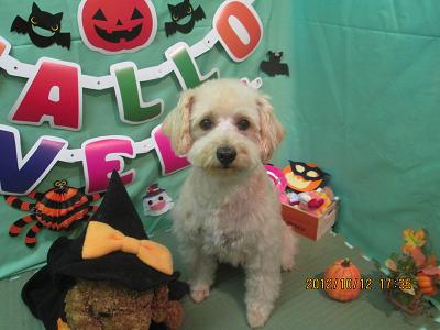 ファイル 5127-2.jpg