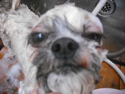 ファイル 513-2.jpg