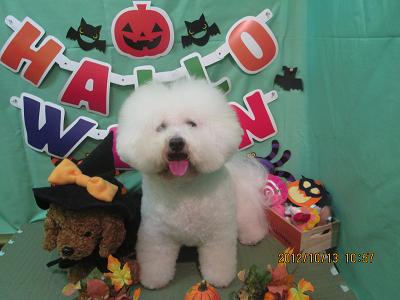 ファイル 5130-1.jpg