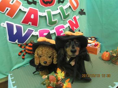 ファイル 5132-1.jpg