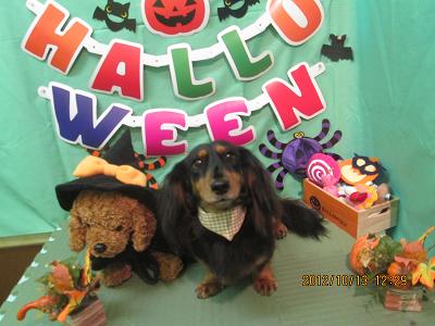 ファイル 5132-2.jpg