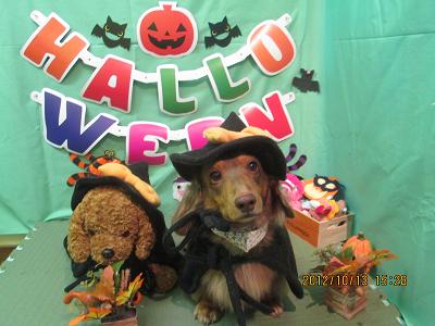 ファイル 5133-1.jpg