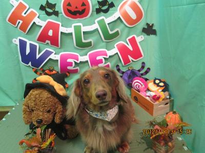 ファイル 5133-2.jpg